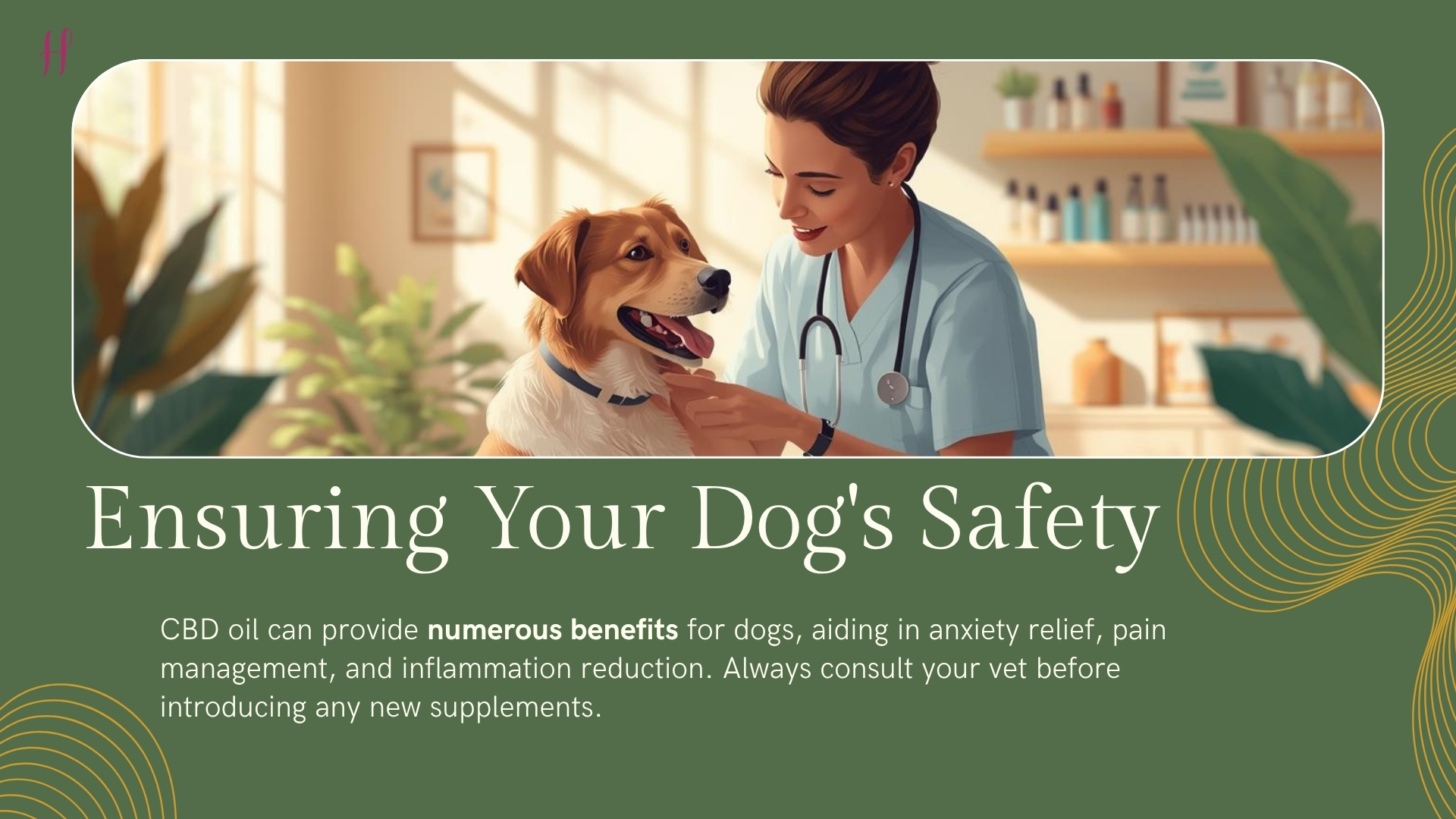 Is CBD Safe for Dogs?